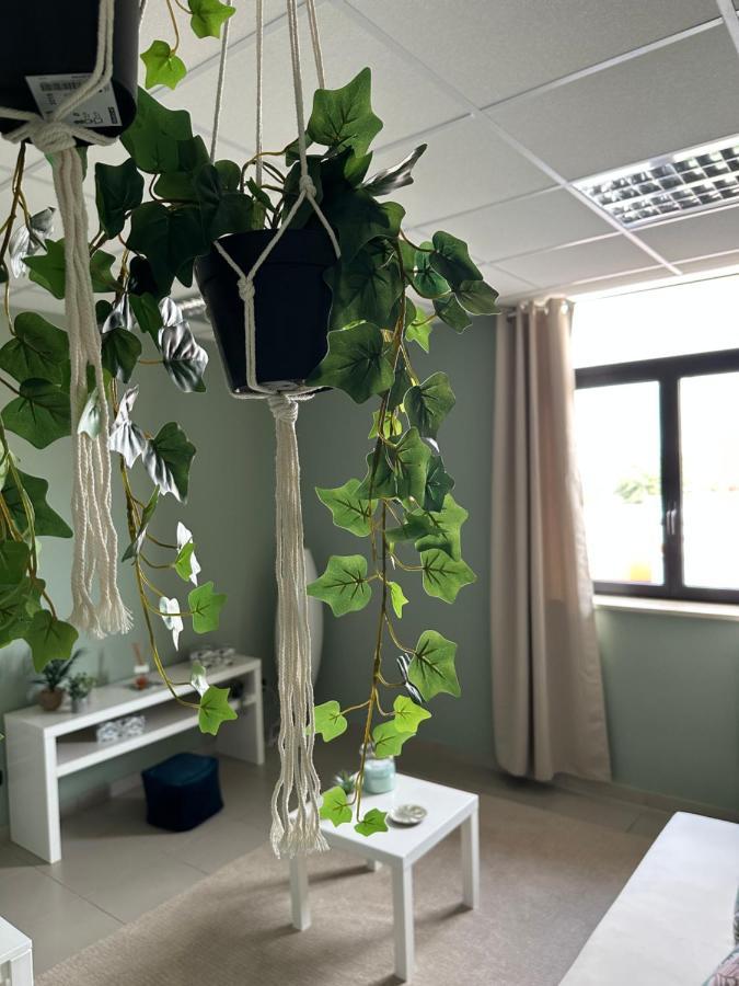 باري Botanical Suite المظهر الخارجي الصورة